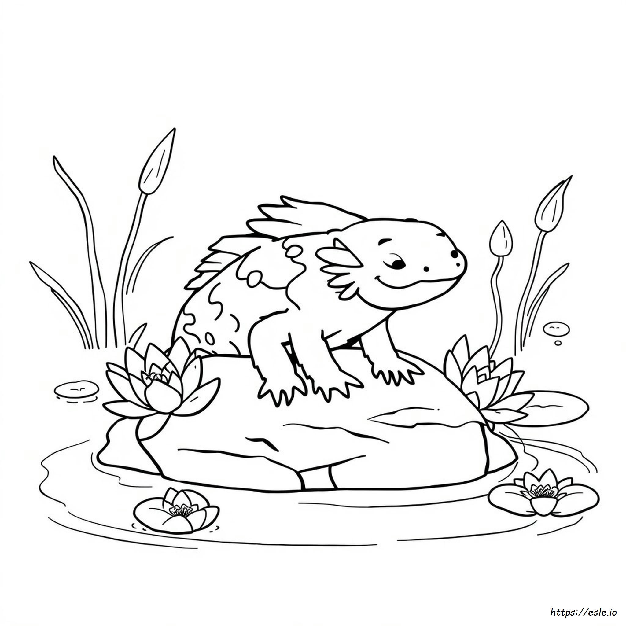 Cute Axolotl Coloring Pages Printable Free