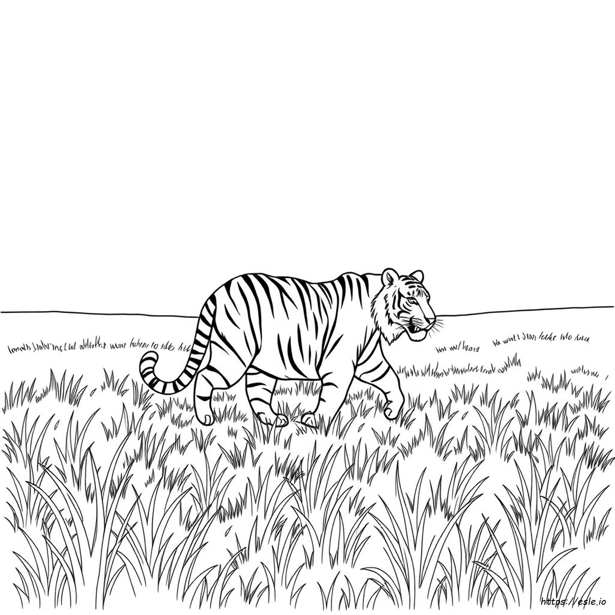 Cetak Harimau Gambar