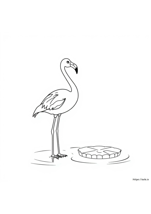 Vaaleanpunainen Flamingo Värityskuva