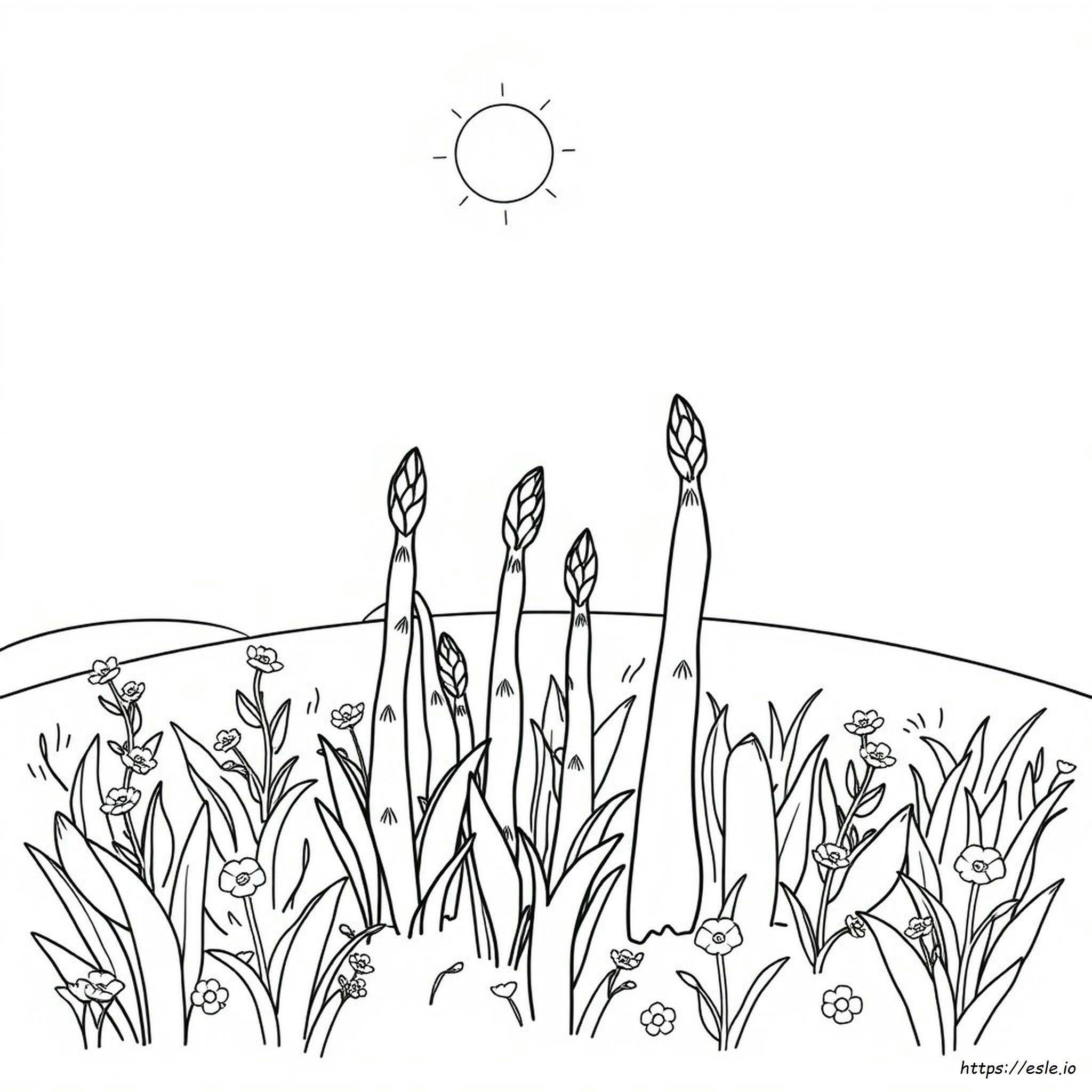 Asparagus Coloring Page