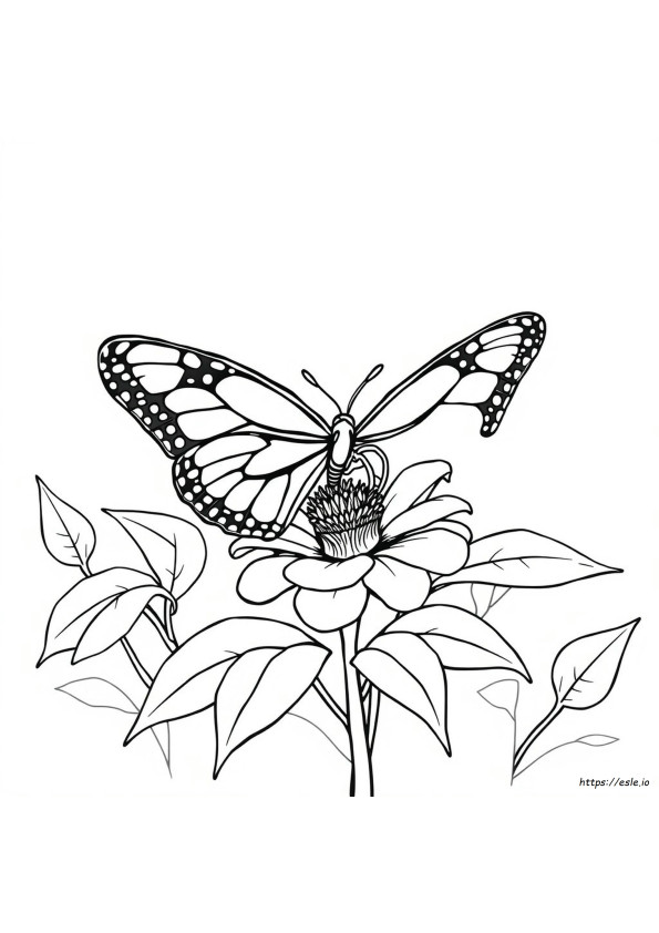 Coloriage Papillon Monarque