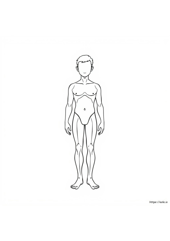 The Human Body Coloring Page