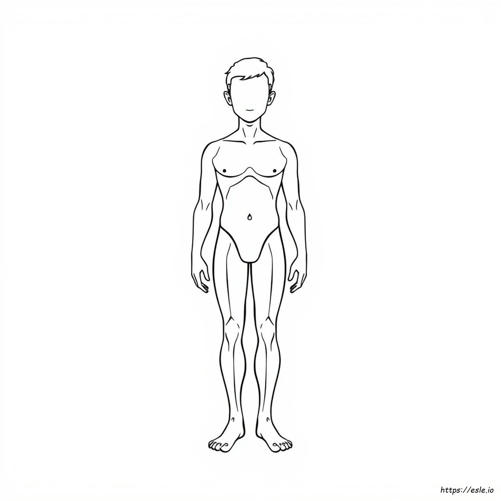 Coloriage Le Corps Humain