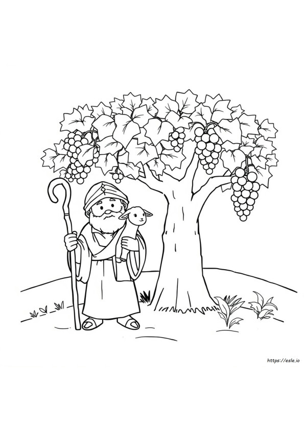 Bible Coloring Activities