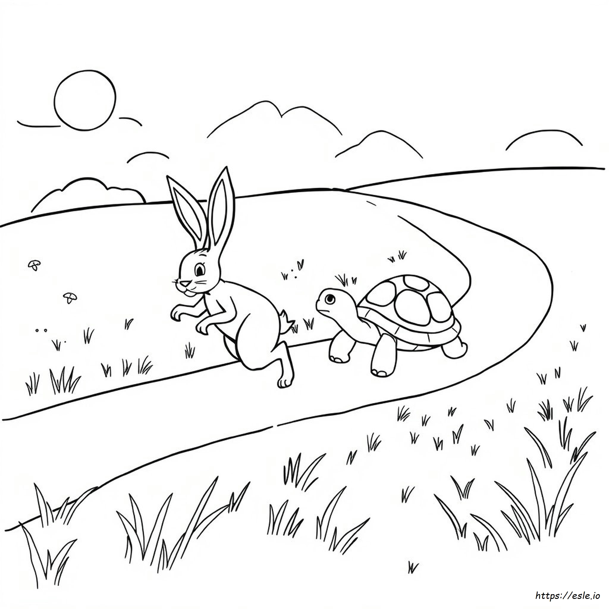 Hare And Tortoise Coloring Page