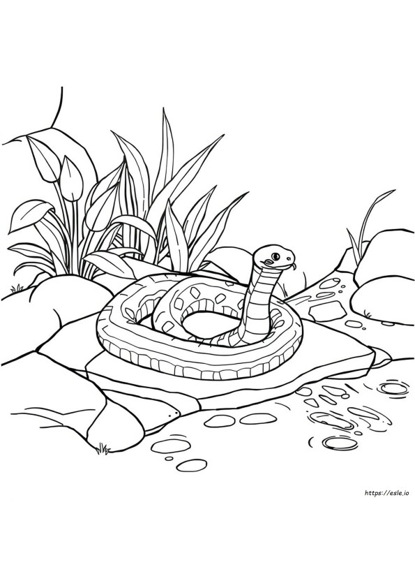 Snake Coloring Pages For Adults