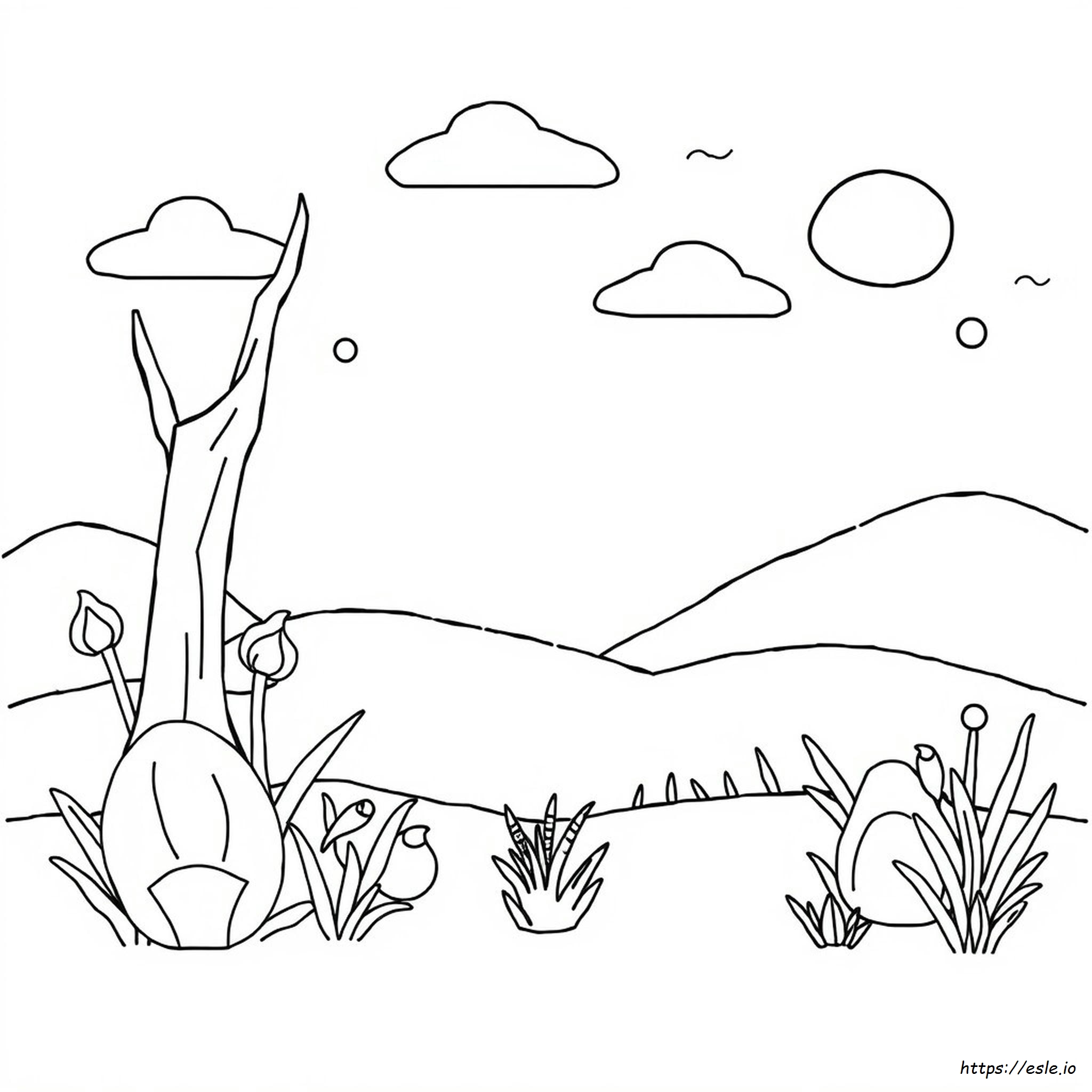 Coloring Book Template