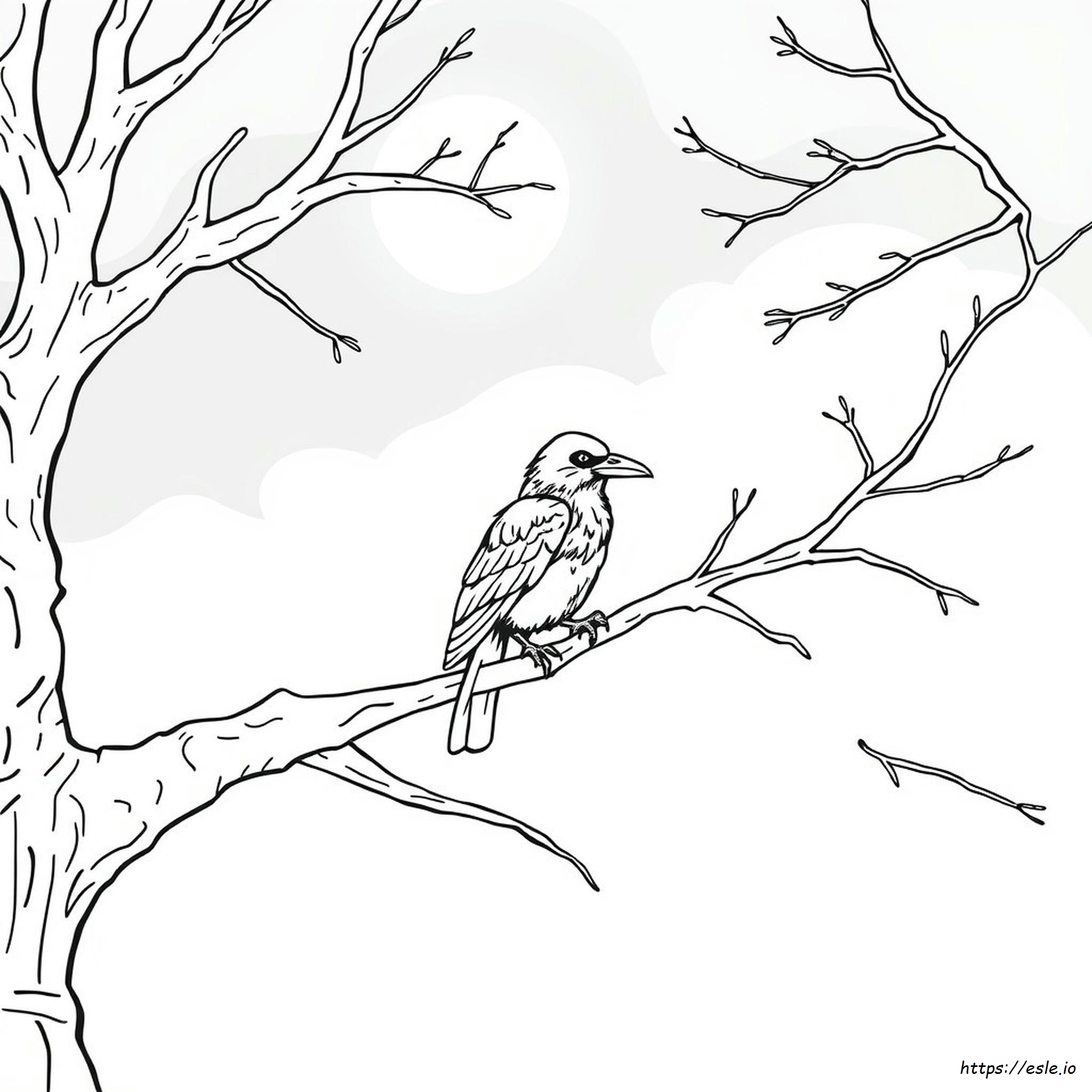 Raven Coloring Pages Free