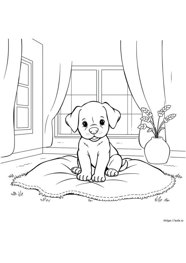 Puppy Pictures For Coloring