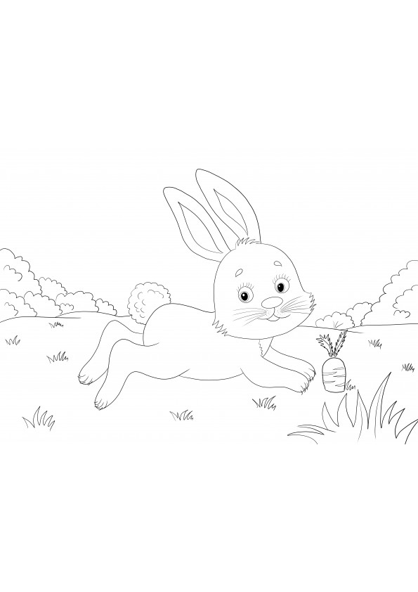 Cute little rabbit running after a carrot free printable to color