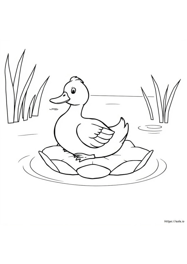 Images De Contour De Canard Pour Le Coloriage