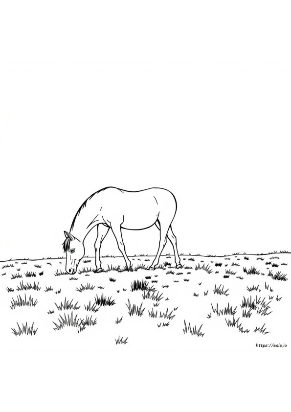 Cavalos Para Colorir