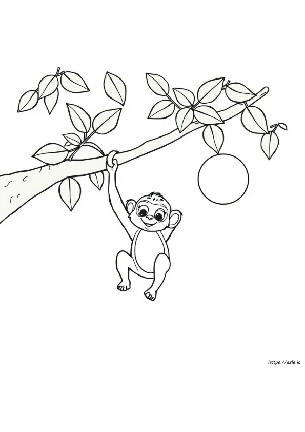 Anggur Coloring