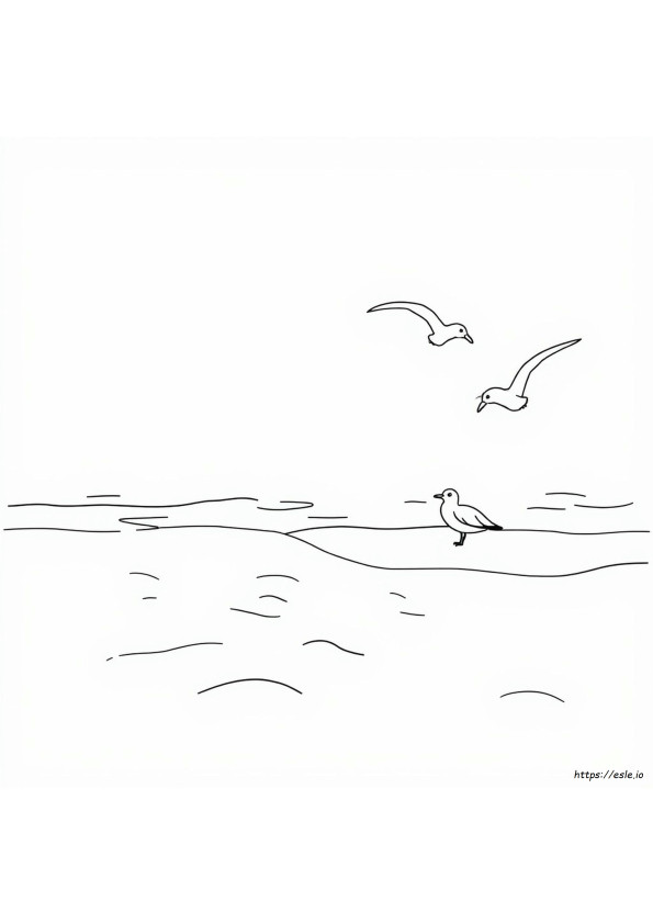 How Do I Turn A Photo Into A Coloring Page