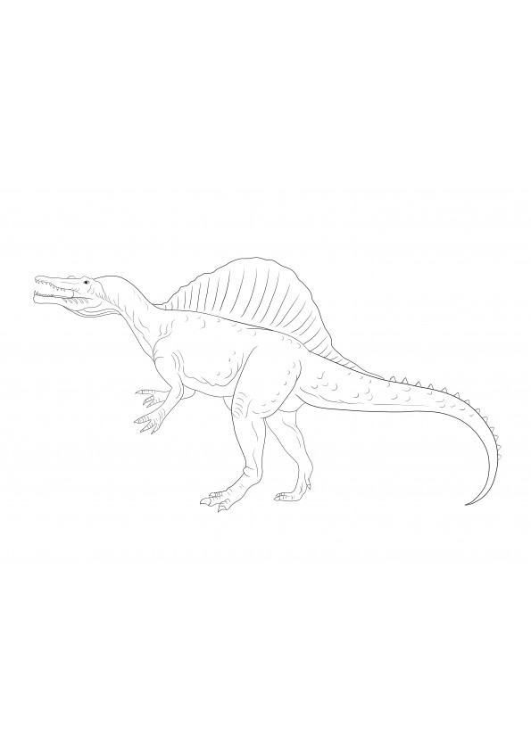 Woeste Spinosaurus kleurplaat om gratis af te drukken of te downloaden