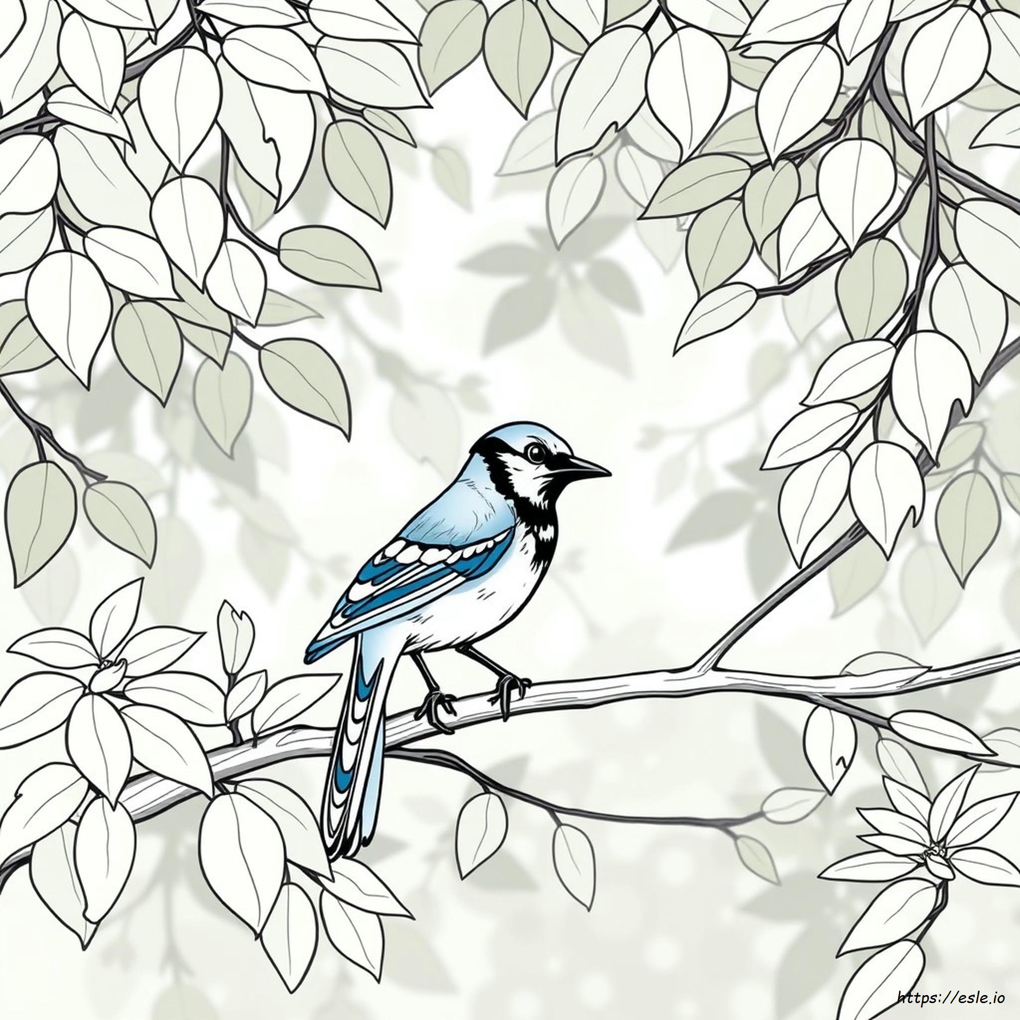 Blue Jay Coloring Picture