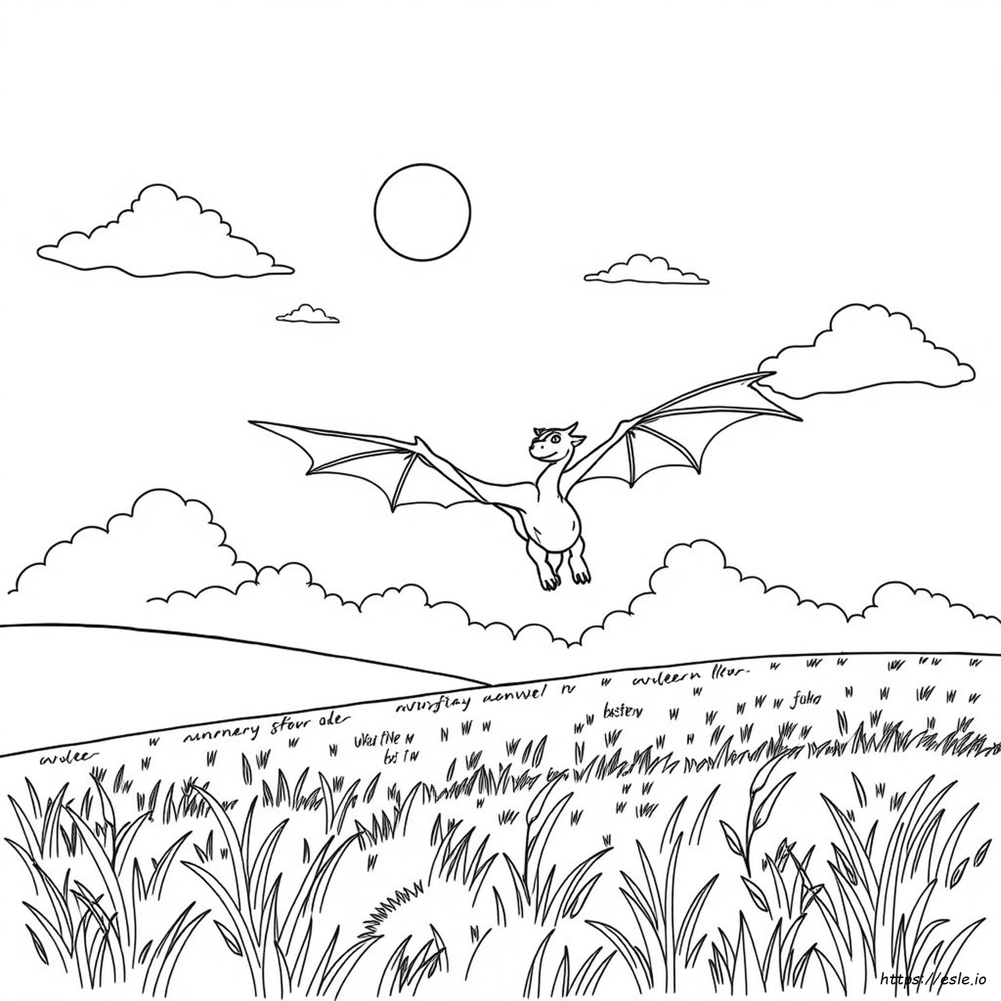 Disegni Da Colorare Giugno