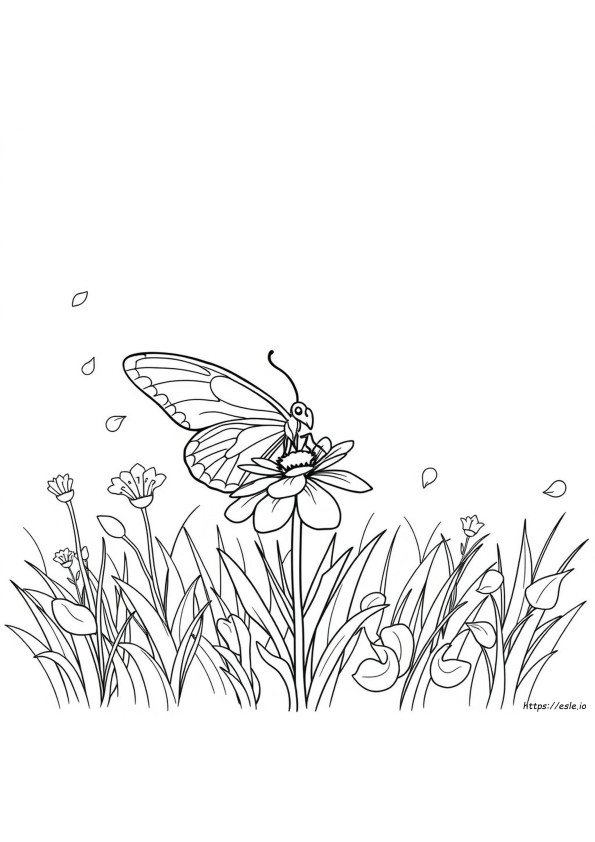 Butterfly Coloring Pages Kids