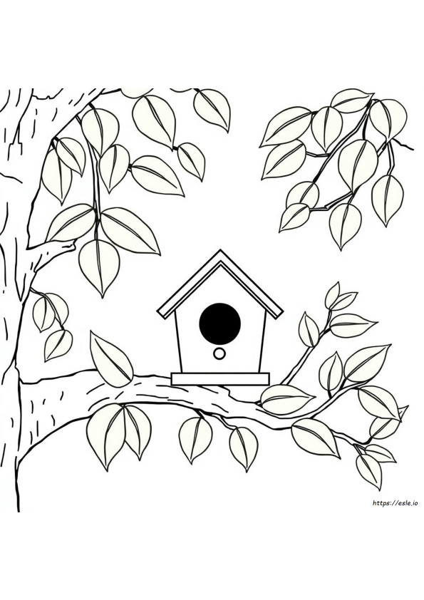 What Color Should A Birdhouse Be