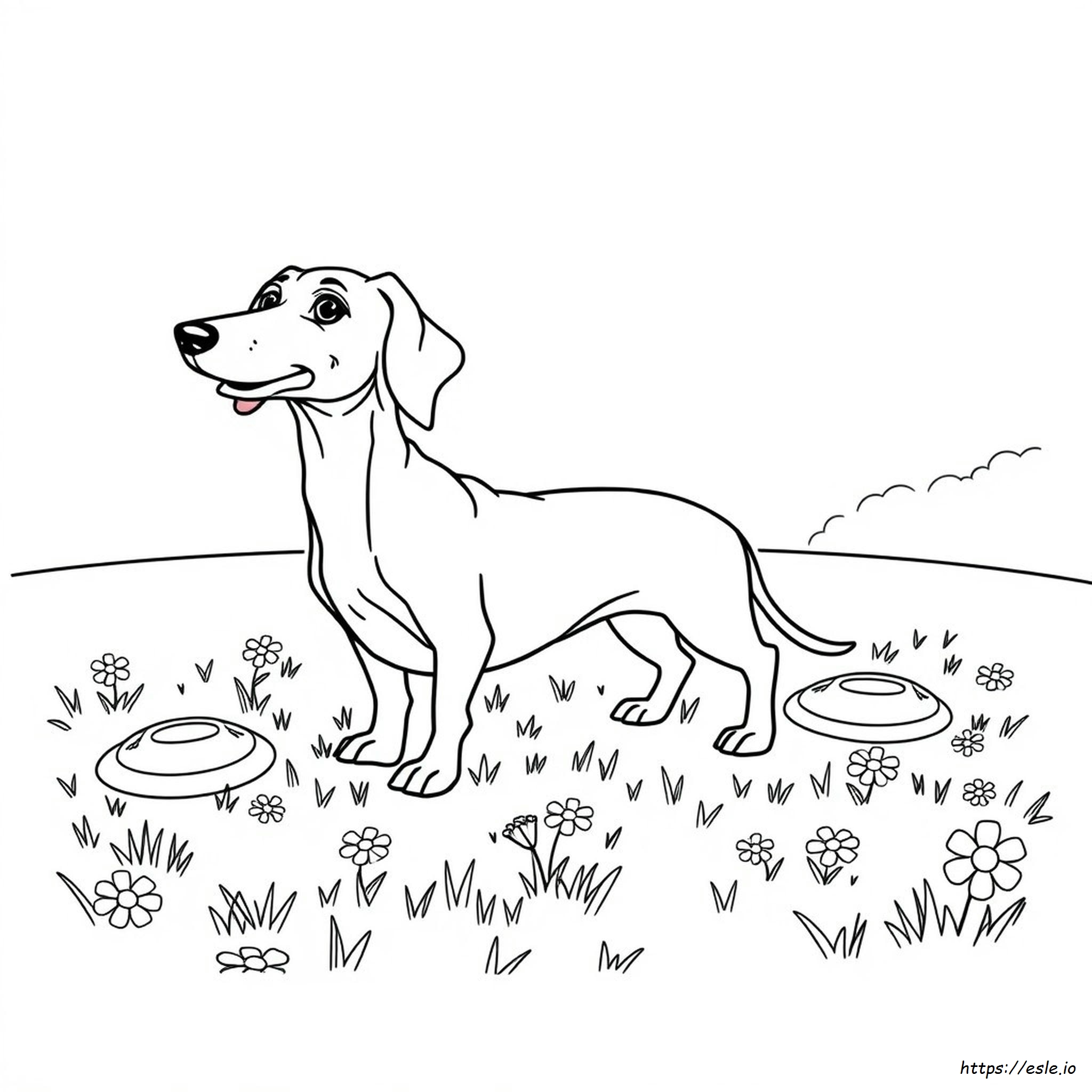 Weiner Dog Coloring Page