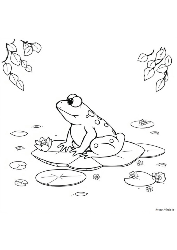 Do Toads Change Color