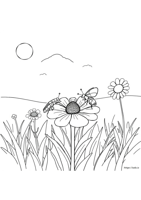 Insect Coloring Pages Free