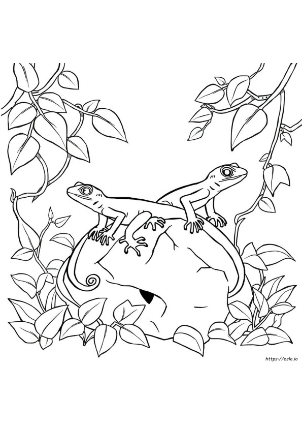 Gecko Ausmalbilder