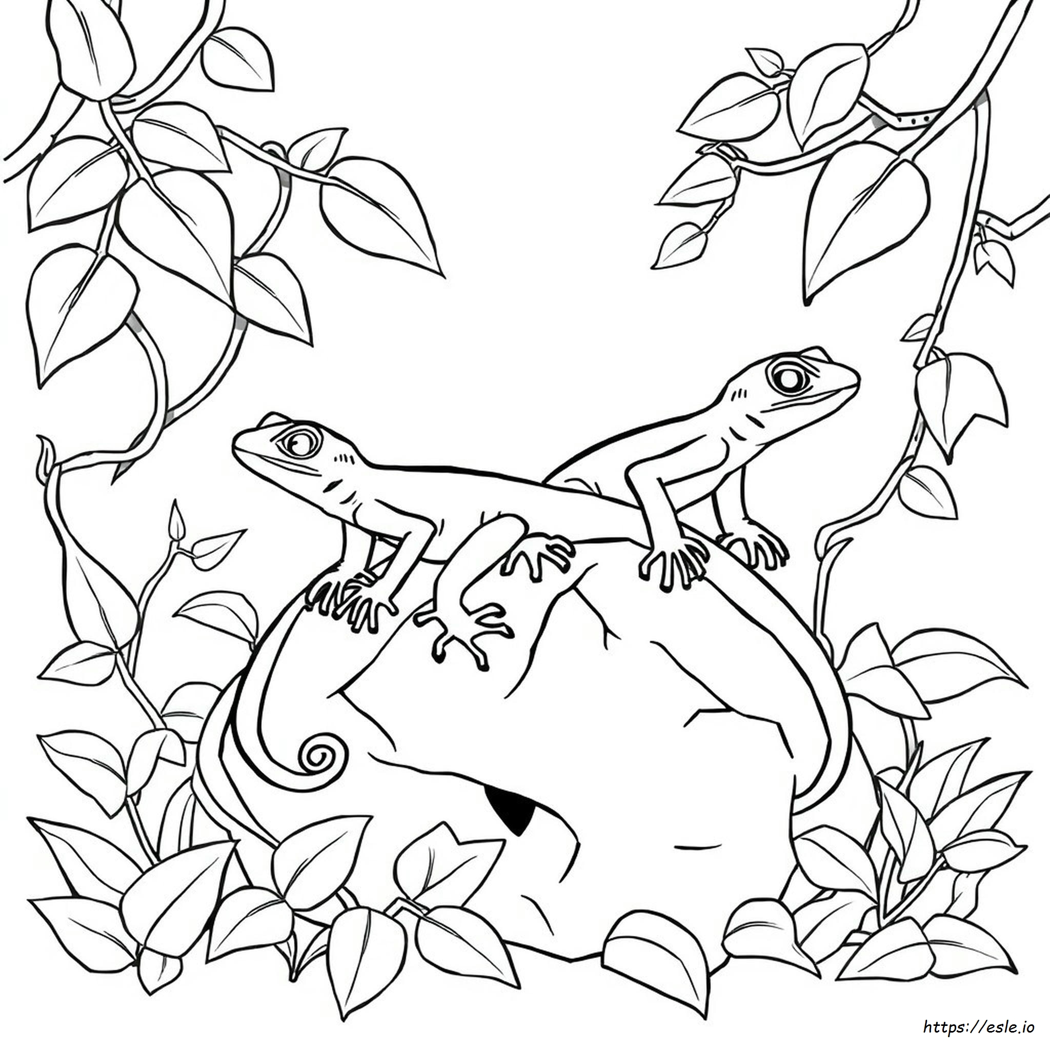 Coloring Pages Of Geckos