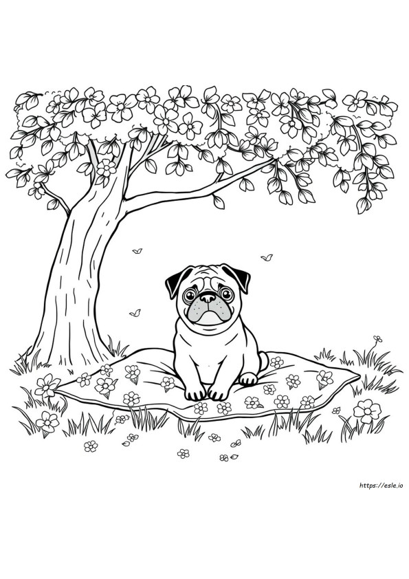 Pug Colouring