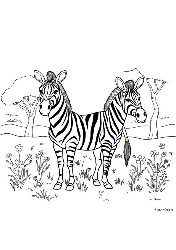 Boyama Için Zebra Çizimi