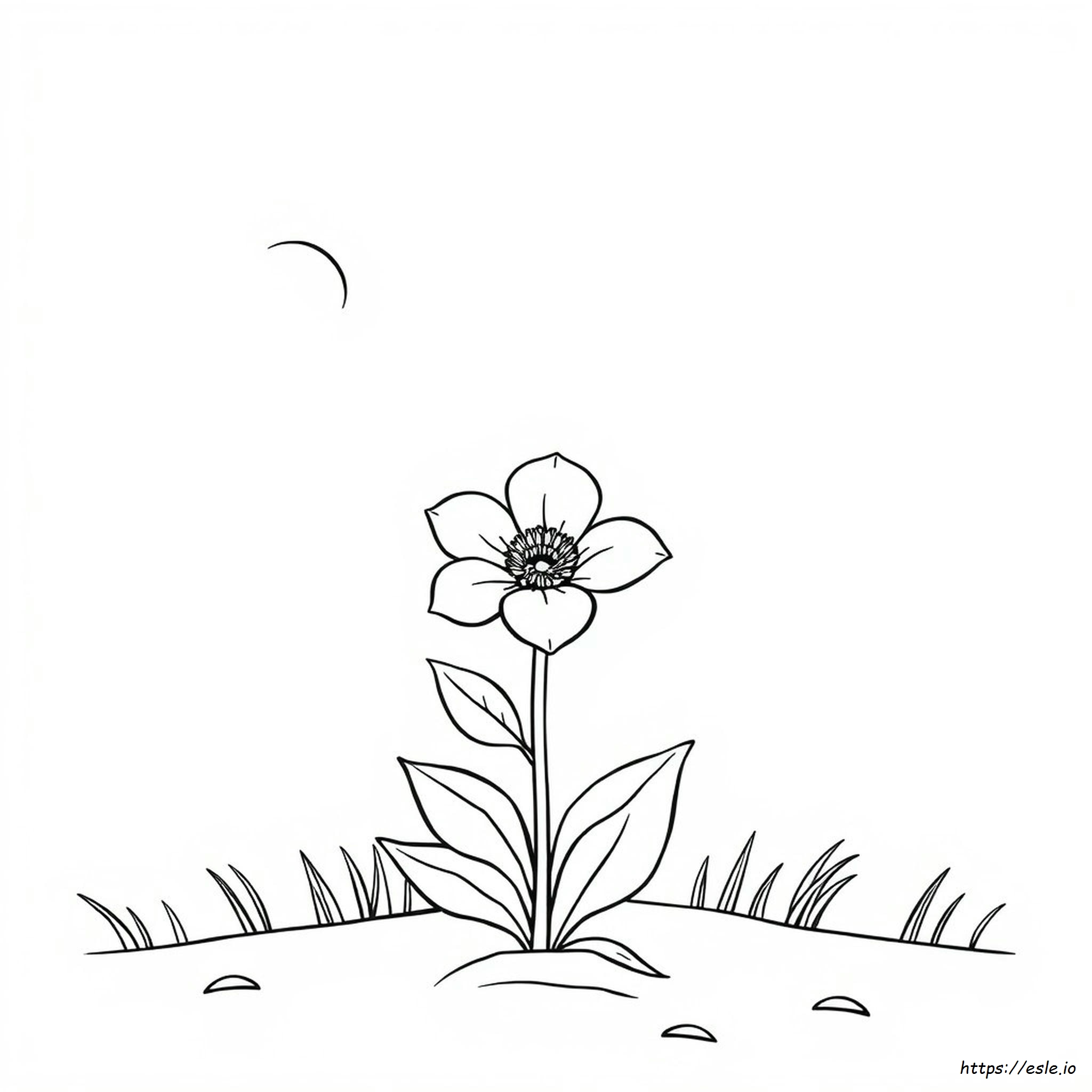 Flower Coloring Page For Adults