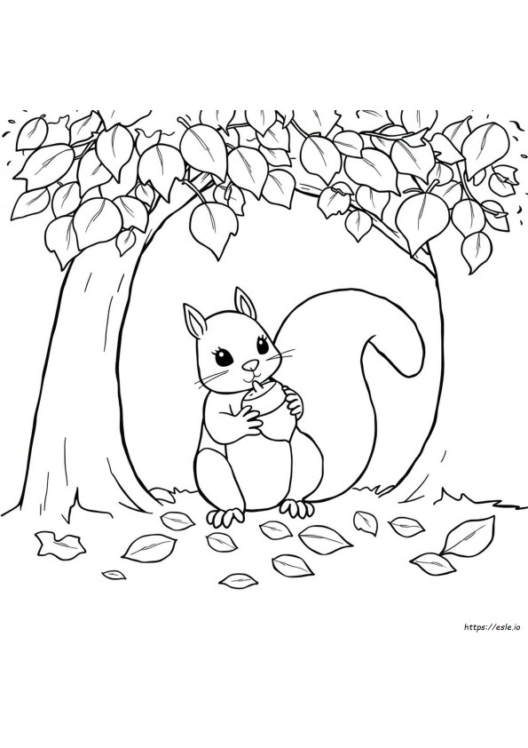 Squirrel With Acorn Coloring Page