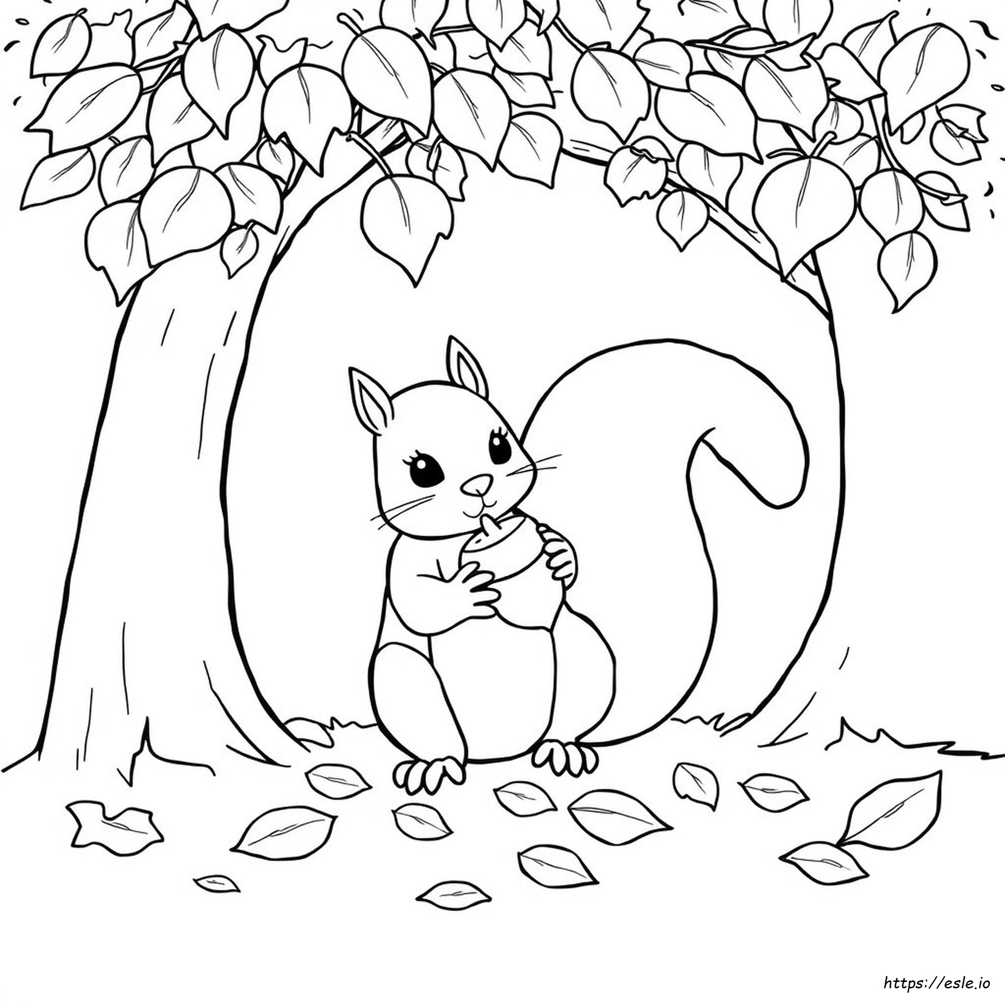 Squirrel With Acorn Coloring Page