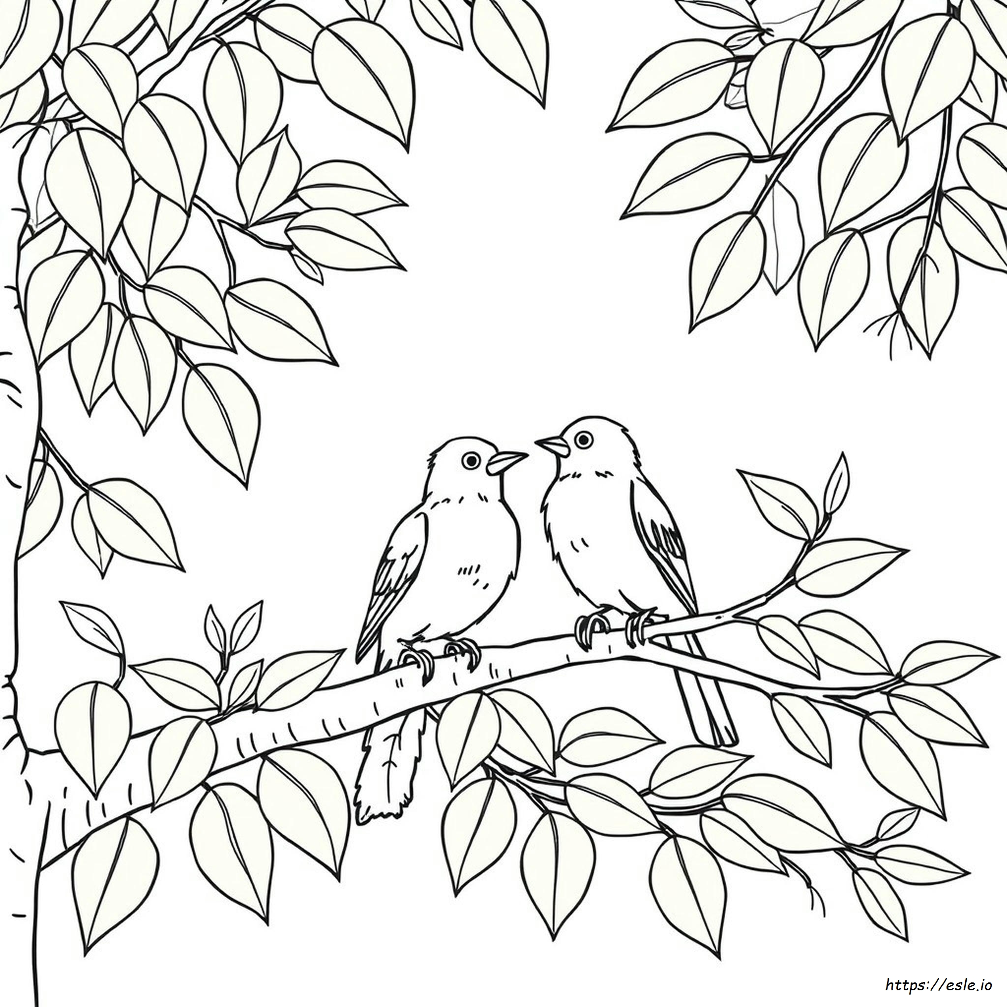 Le Papier Coloré Est-Il Sûr Pour Les Oiseaux