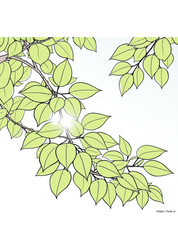 Adult Coloring Book Pages Easy