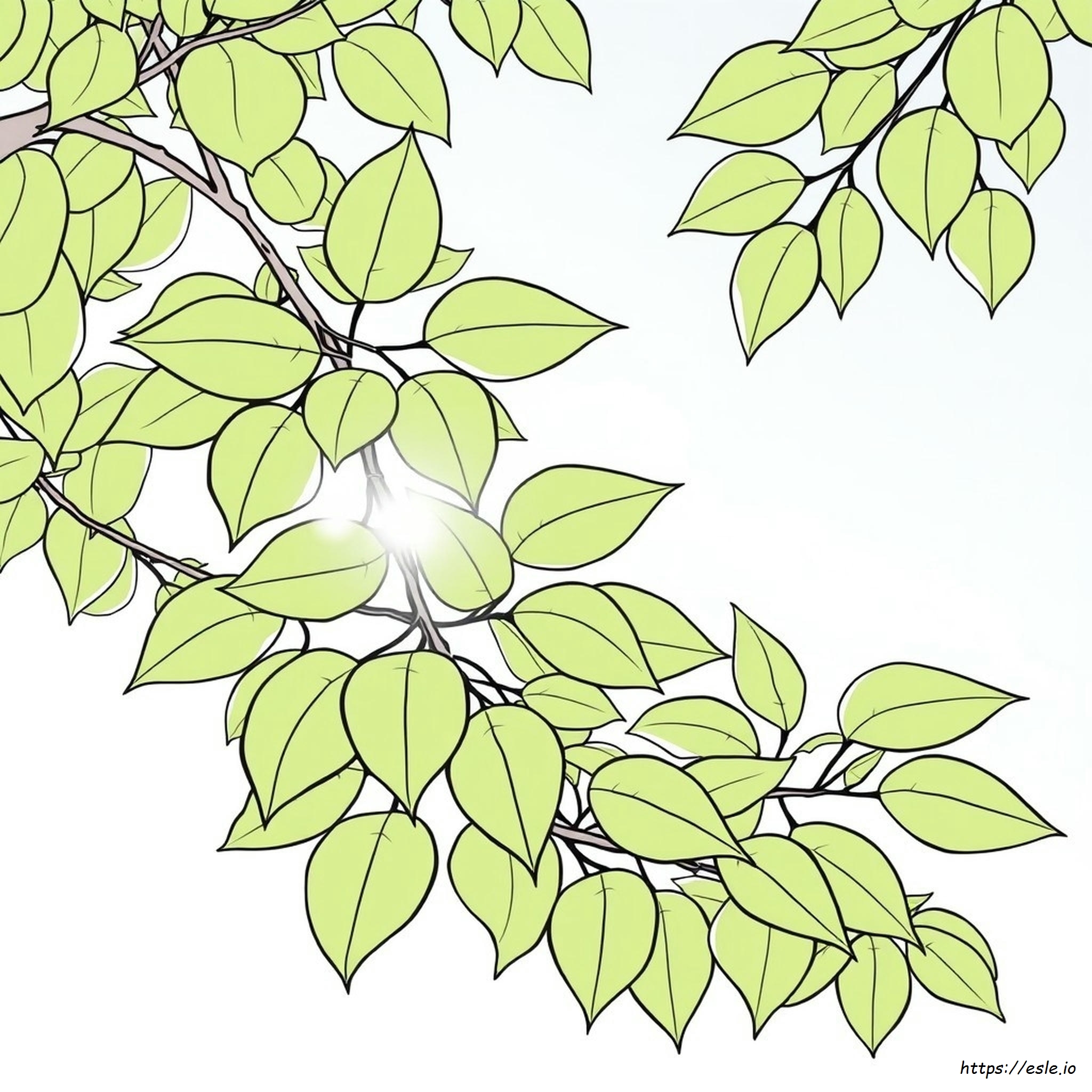 Adult Coloring Book Pages Easy
