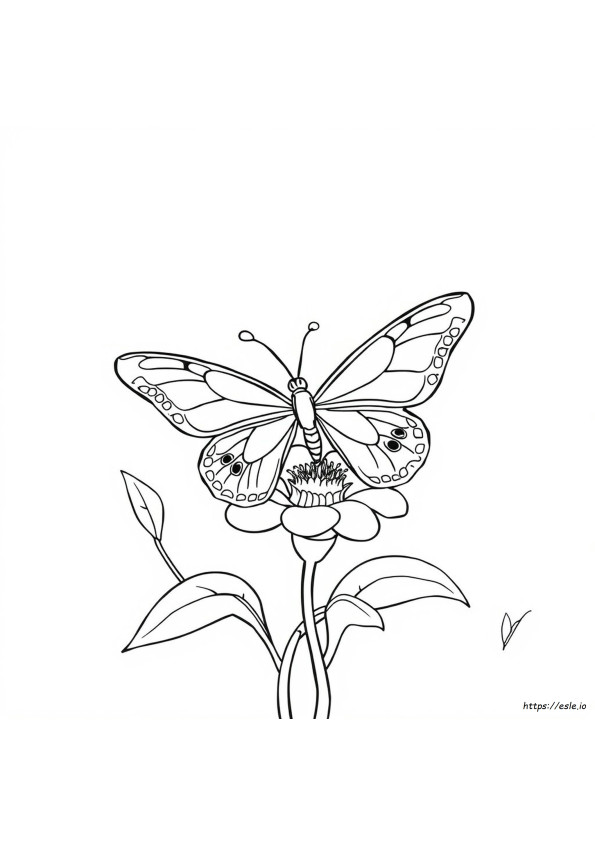 Farfalla Da Colorare E Stampare