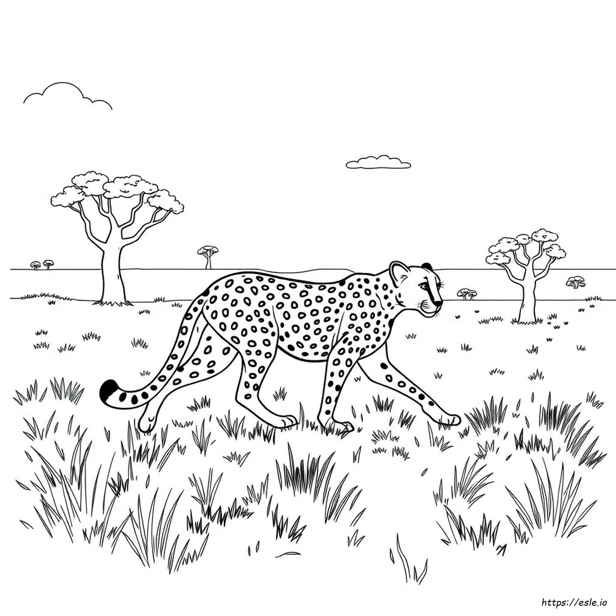 How To Color Cheetah Print