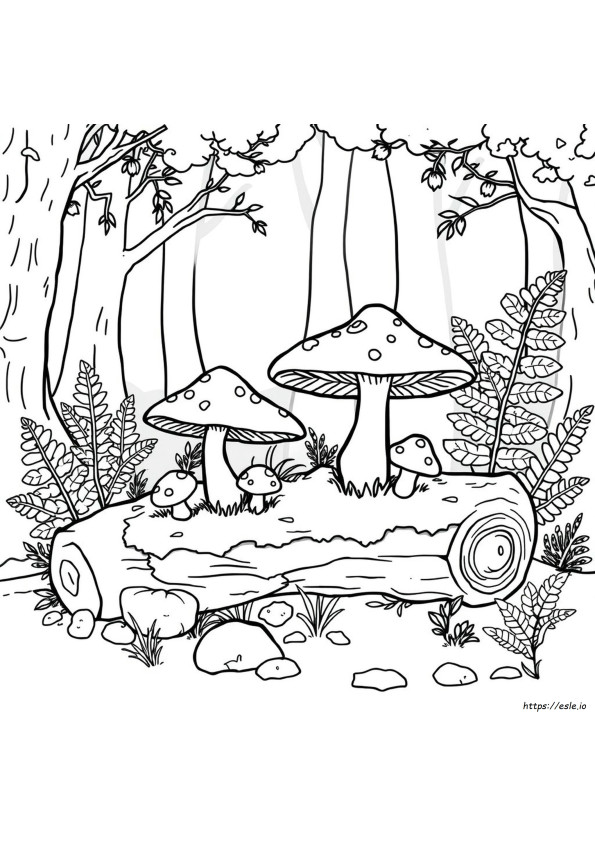 Funghi Da Colorare Per Adulti