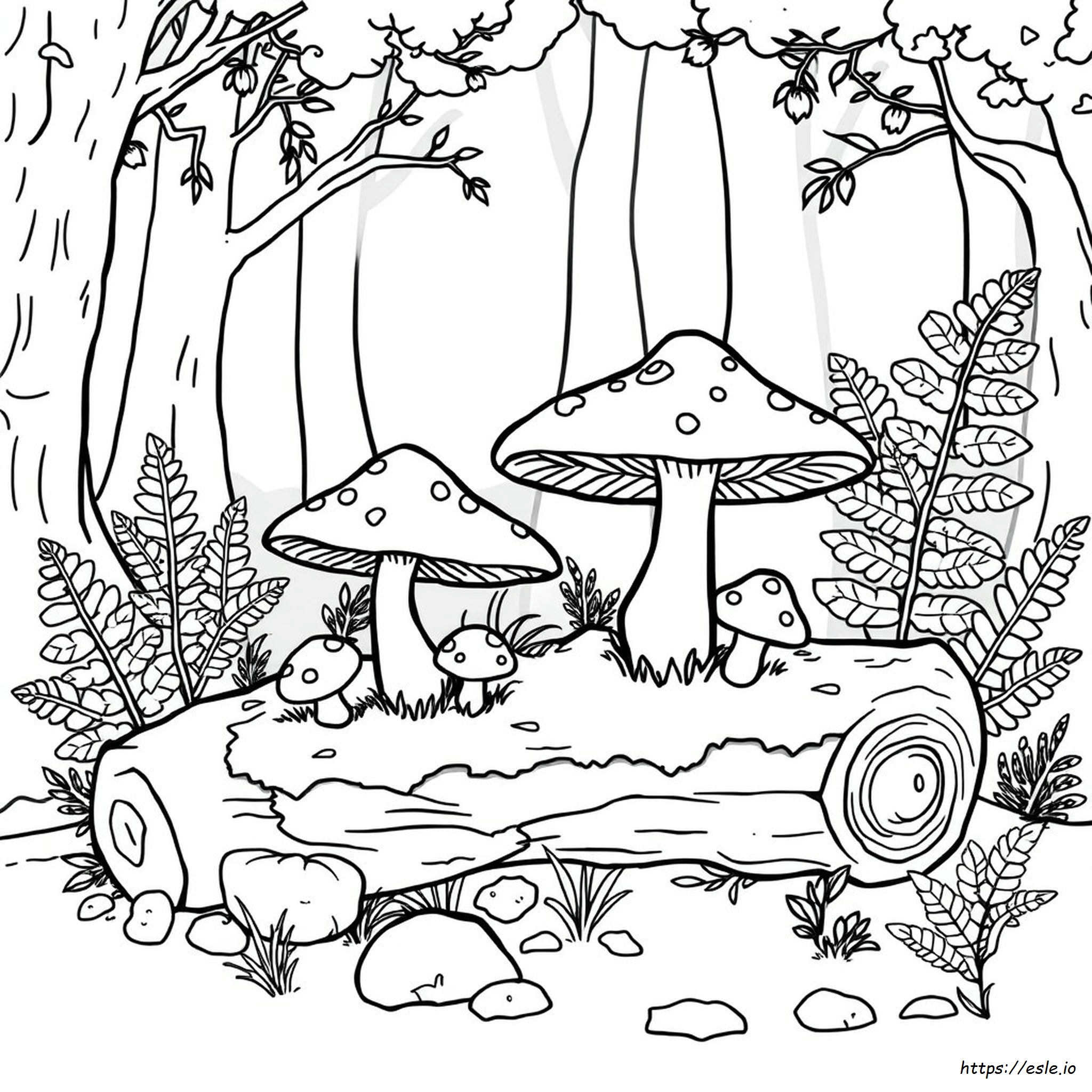Mushroom Coloring Pages Adult