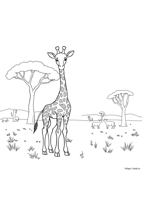 Desenhos De Elefantes Para Colorir