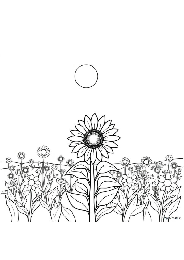 Girasole Da Colorare