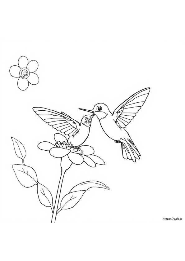 Is Food Coloring Bad For Hummingbirds