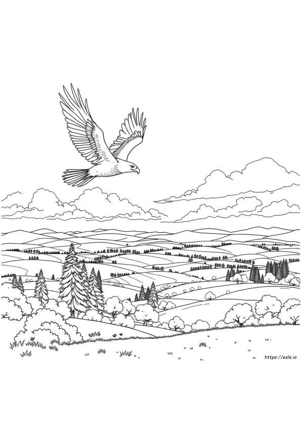 Coloriages Super Détaillés
