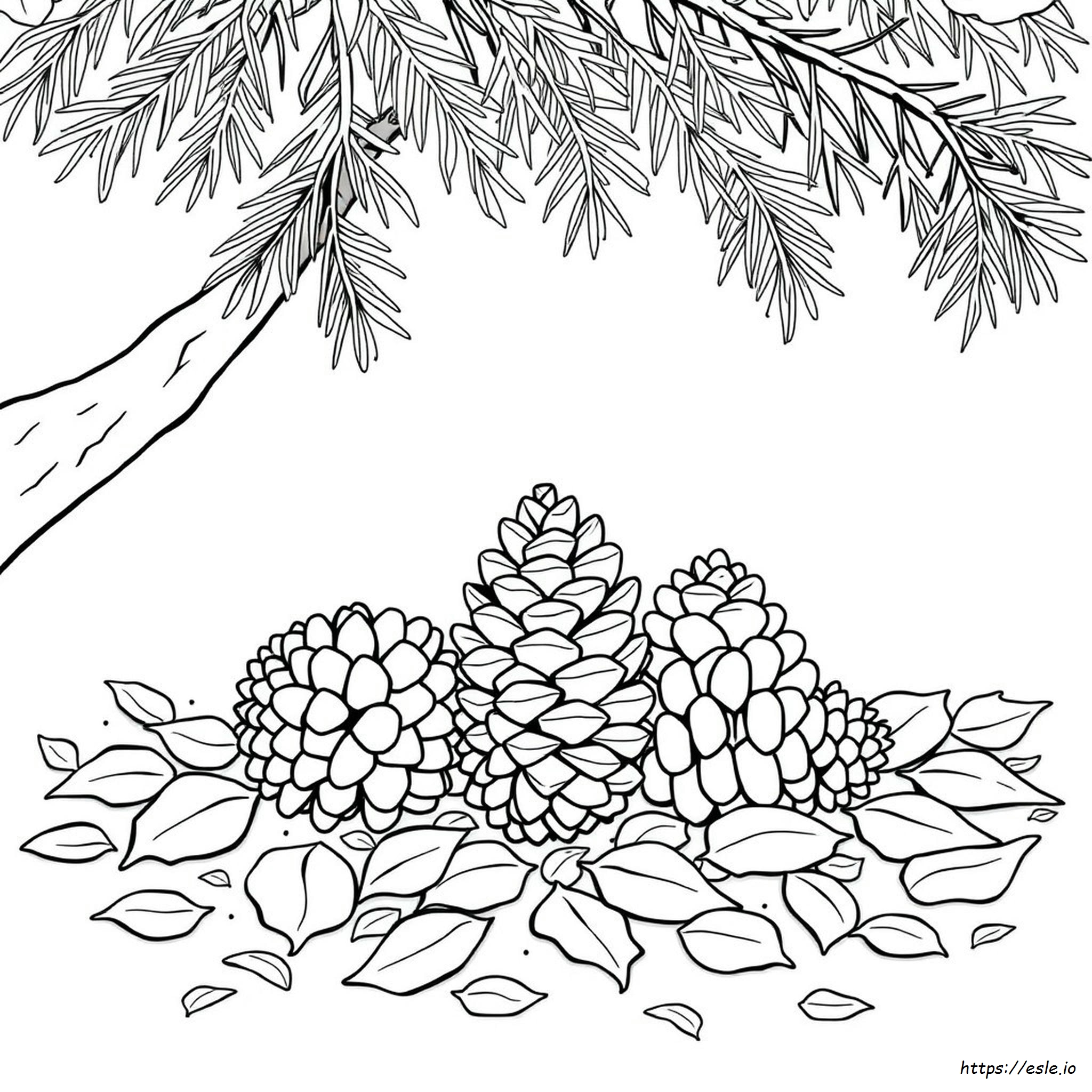 How To Color Pinecones