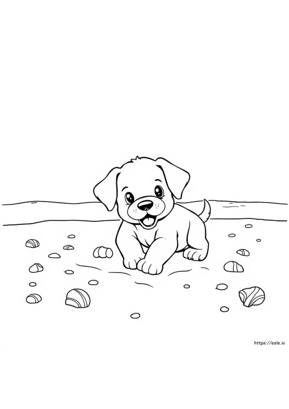 Summer Puppy Coloring Pages