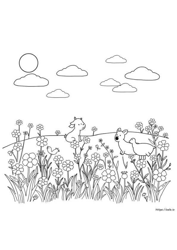 Coloring Book Examples