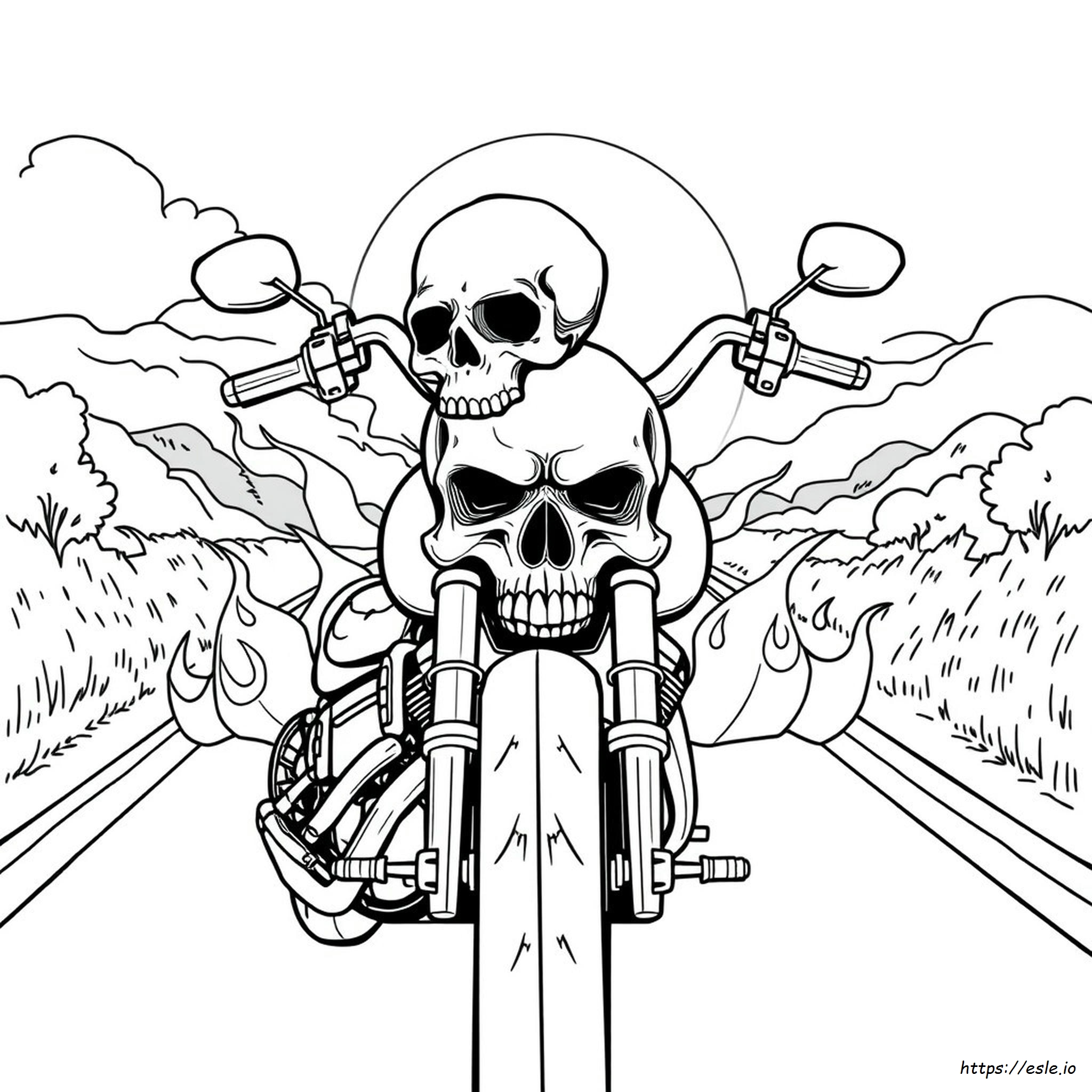 Skull Harley Davidson Coloring Pages