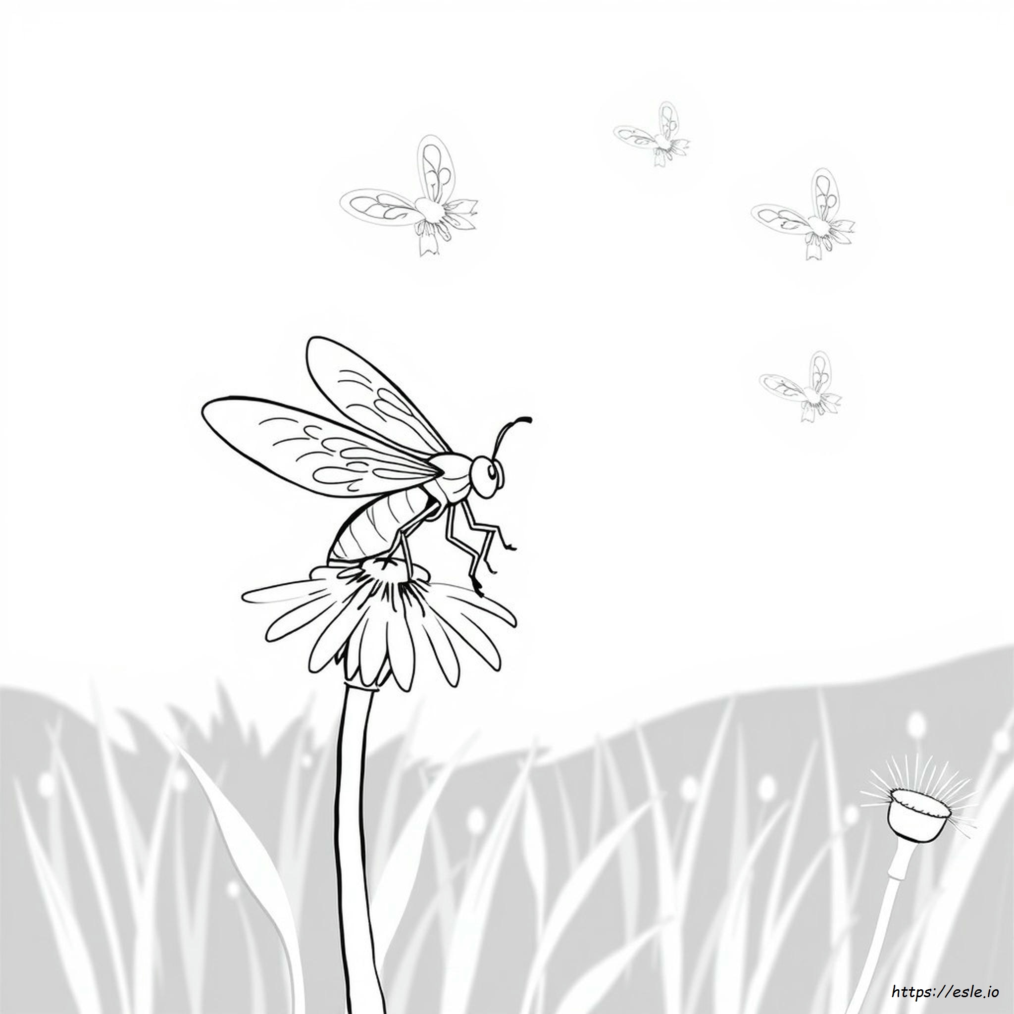 Firefly Coloring Page Free