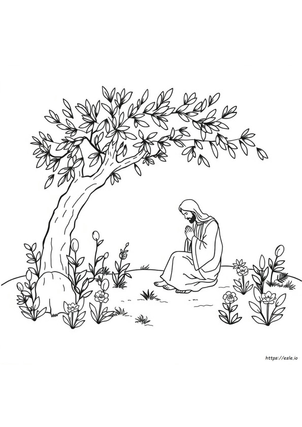 Garden Of Gethsemane Coloring Page